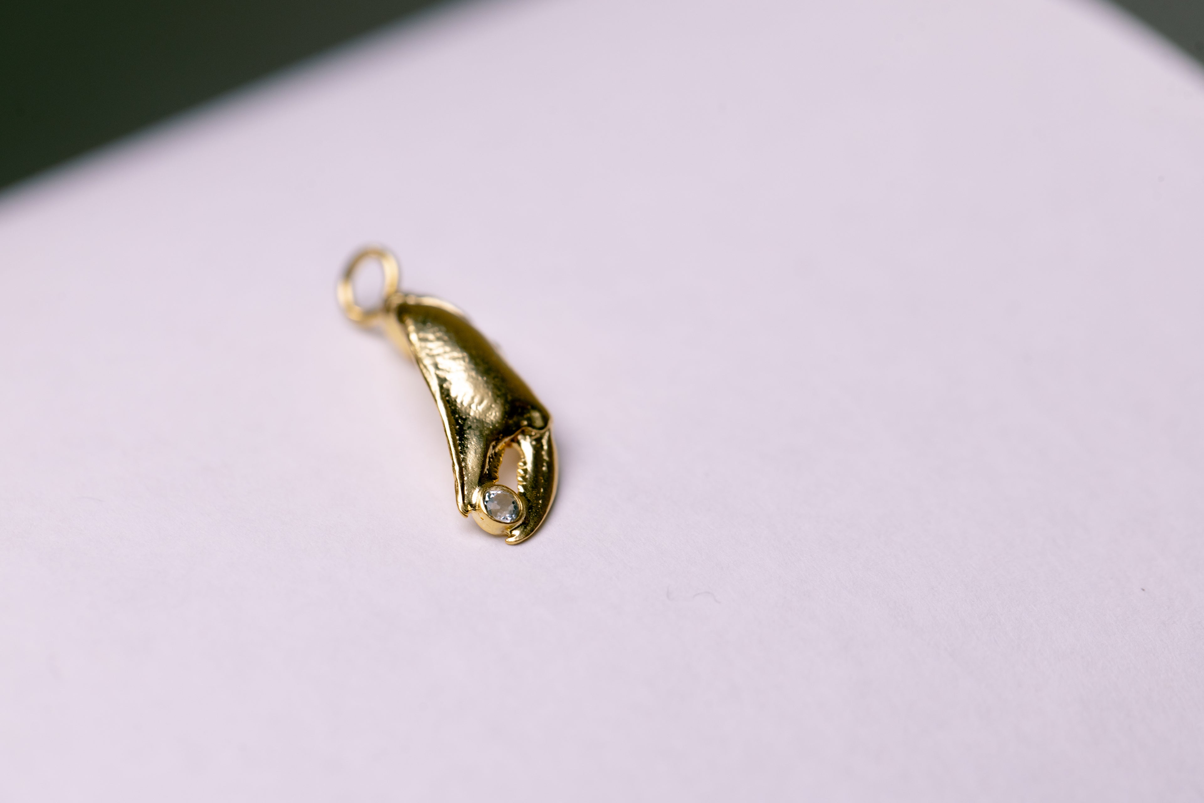 Pince de crabe bedel