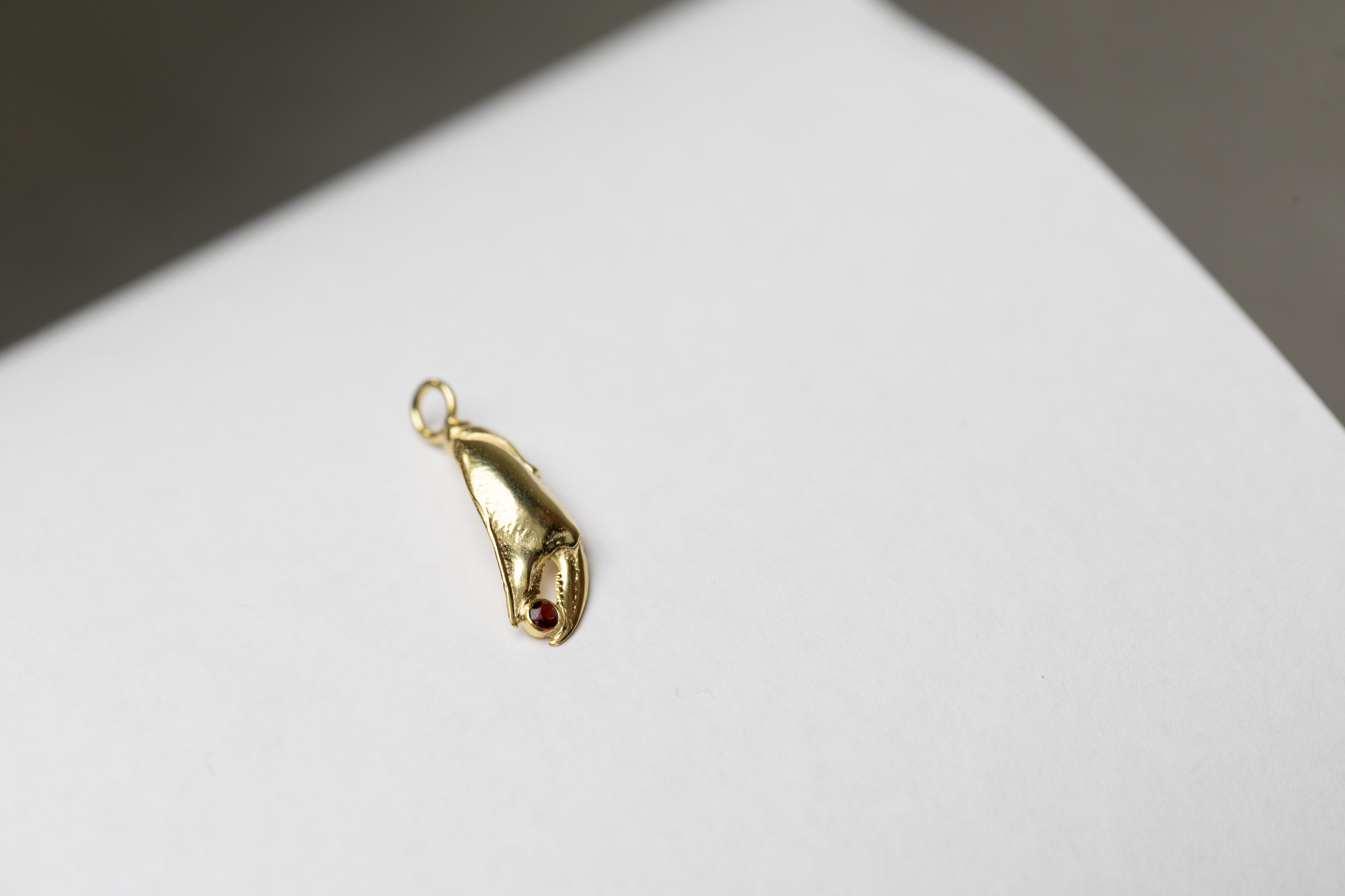 Pince de crabe bedel