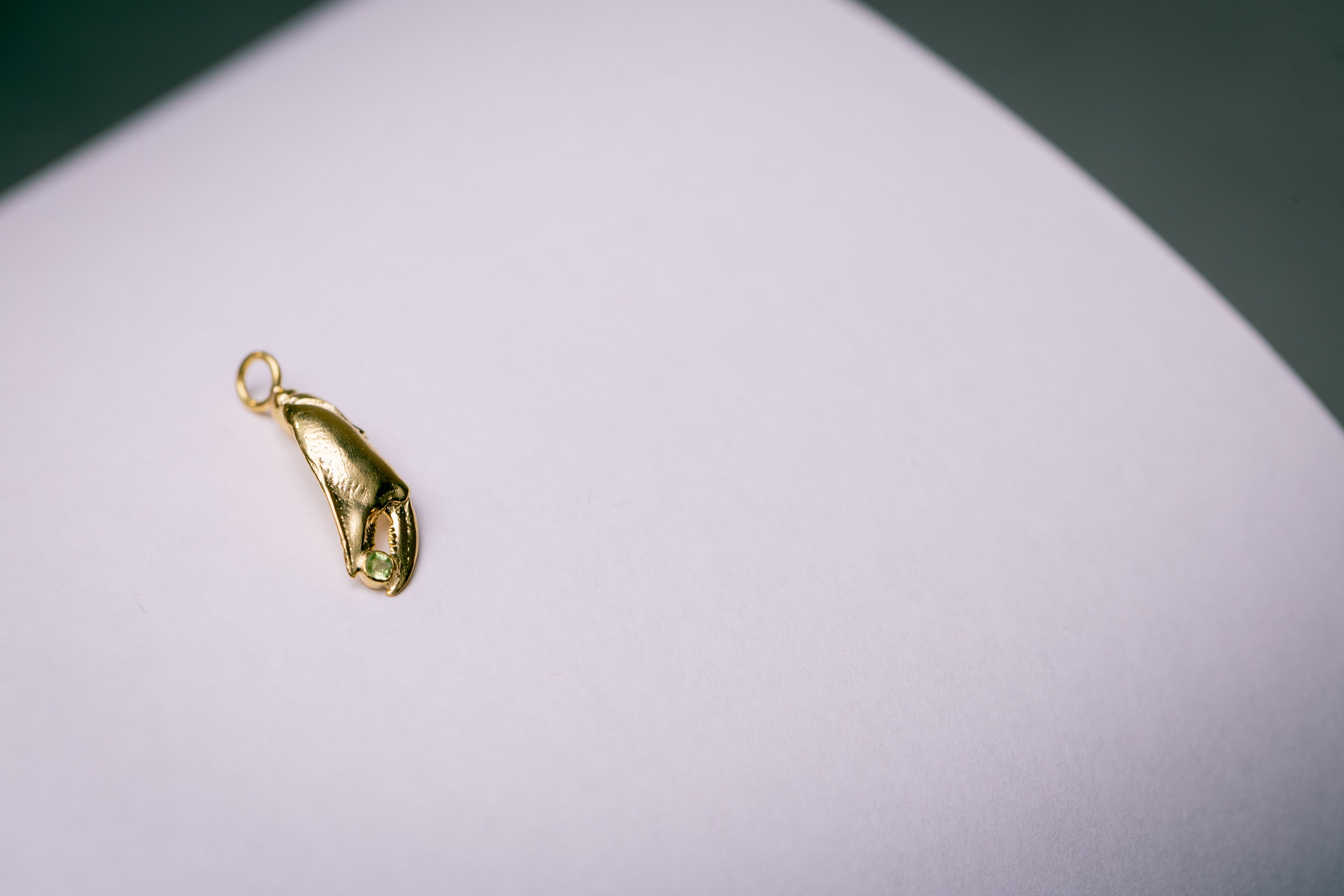 Pince de crabe bedel