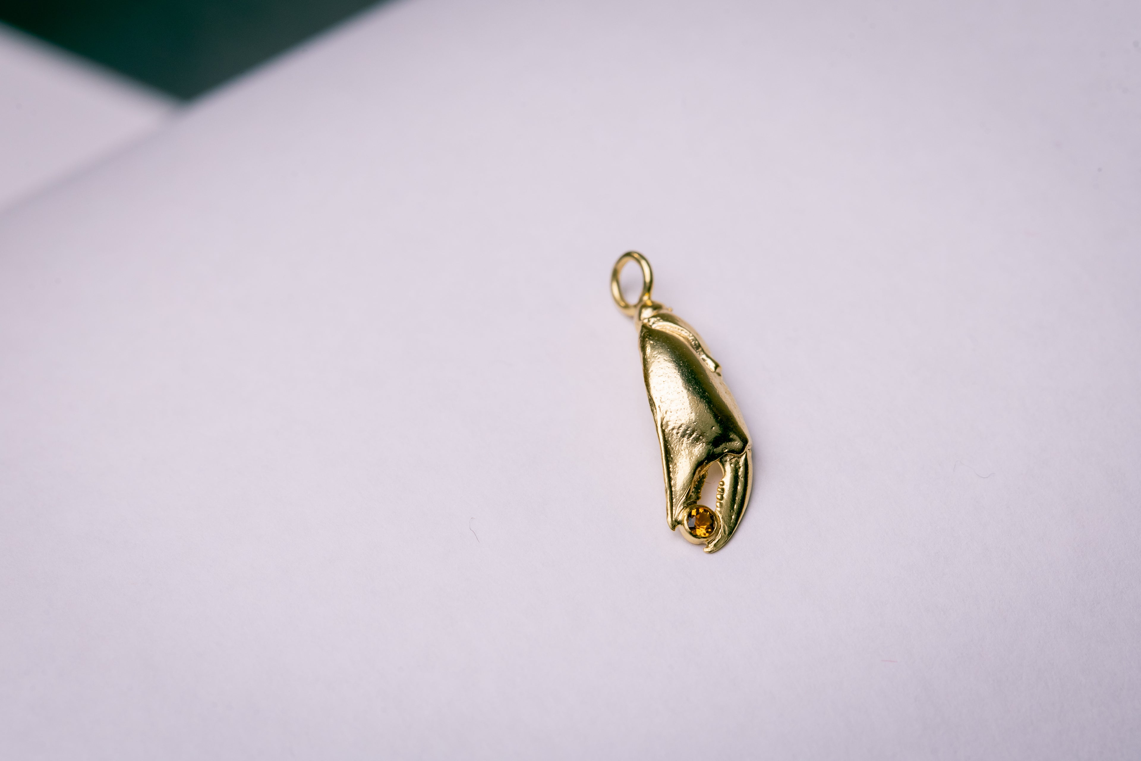 Pince de crabe bedel