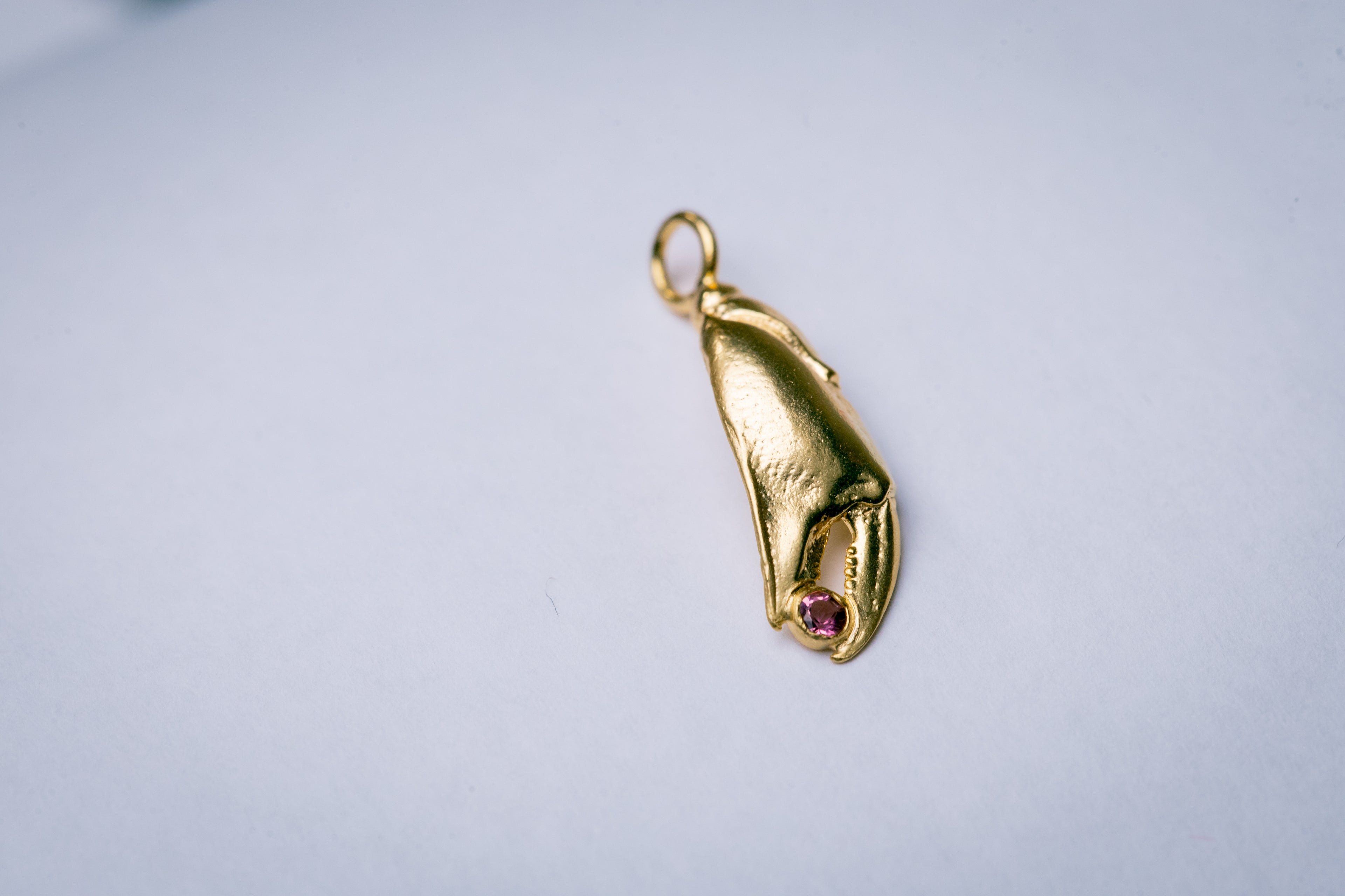 Pince de crabe bedel